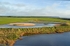 Wexford Wildfowl Nature Reserve, Co. Wexford, Ireland