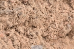 260819-115224-00411