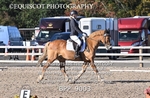 BPP_9003