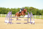 SBM_002225