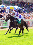 Race 2 14.30pm Sky Bet For The Fans EBF Novice Stakes portfolio
