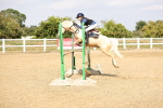 SBM_002308