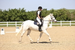SBM_009111