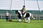 SBM_11406