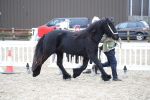 SBM_003981