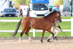 SBM_08635