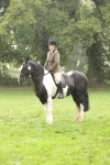 S69 - Show Cob Ridden portfolio