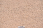 230720A-092420-01372