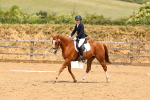 SBM_002291