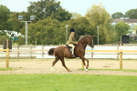 SBM_69886