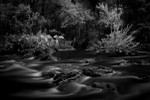 Hillsborough River Rapids