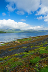 Scotland portfolio