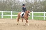 SBM_001184
