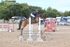 BPP_7434