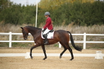 SBM_001336