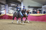 SBM_15190