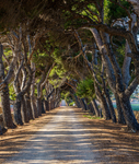 Puglia-295