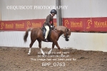 BPP_0763