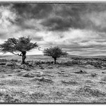 Combestone Tor, looking towards Princetown