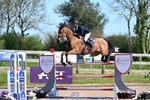 Cls 9, 2 Star Big Tour - Start to Break portfolio