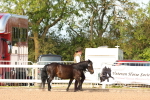 SBM_17982
