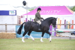 SBM_11023