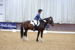 SBM_000528