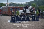 CLASS 15 SUN Stepping Stones 128/ 138cms Handicap portfolio