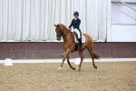 SBM_009799