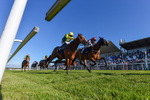 230426-Race 7-Coolree-6557