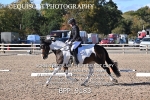 BPP_9183