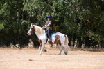 WJ6_9245