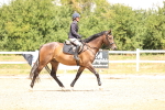 SBM_000662