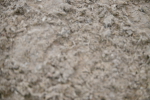 SBM_003026