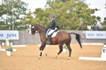 SBM_07775