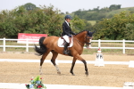 SBM_006253