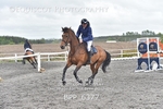 BPP_6377