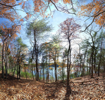 The Pond in October, Walden