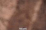 240505A-162436-07181