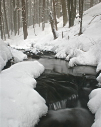 Fall and Winter portfolio