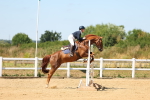 SBM_008299