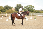 SBM_009952