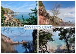 RSPO37 - Anstey's Cove Views