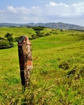 Fencepost
