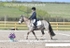 BPP_9337