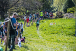 The Finish-1305