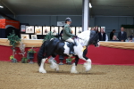 SBM_09882