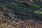Lords Seat-15