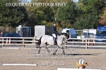 BPP_8511
