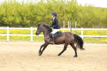 SBM_004016